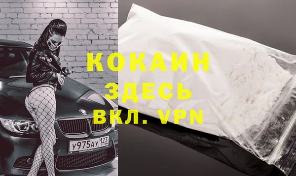 ALPHA PVP Покров